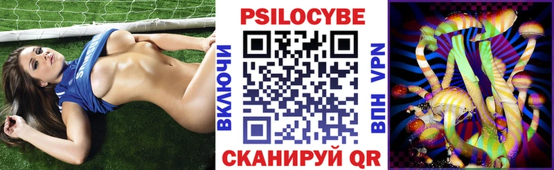 Псилоцибиновые грибы Psilocybine cubensis  закладка  Новошахтинск 