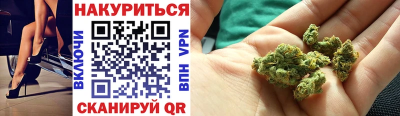 Бошки марихуана гибрид Новошахтинск
